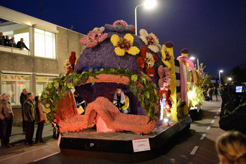 ../Images/Bloemencorso Noordwijkerhout 286.jpg